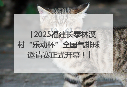 2025福建长泰林溪村“乐动杯”全国气排球邀请赛正式开幕！