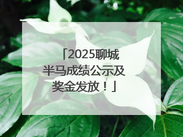 2025聊城半马成绩公示及奖金发放！