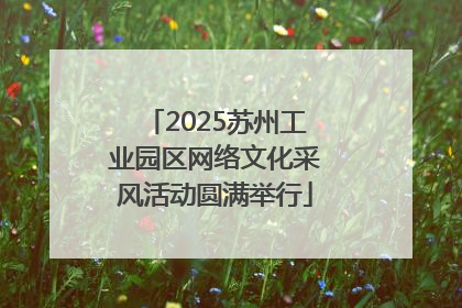 2025苏州工业园区网络文化采风活动圆满举行