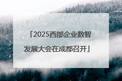 2025西部企业数智发展大会在成都召开