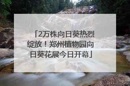 2万株向日葵热烈绽放！郑州植物园向日葵花展今日开幕