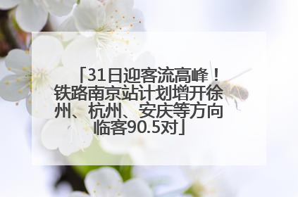 31日迎客流高峰！铁路南京站计划增开徐州、杭州、安庆等方向临客90.5对