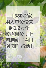 380余家用人单位带来超1.2万个校招岗位，上海启动“百日冲刺”行动