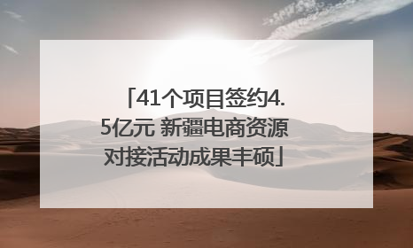 41个项目签约4.5亿元 新疆电商资源对接活动成果丰硕