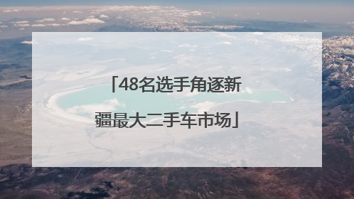 48名选手角逐新疆最大二手车市场