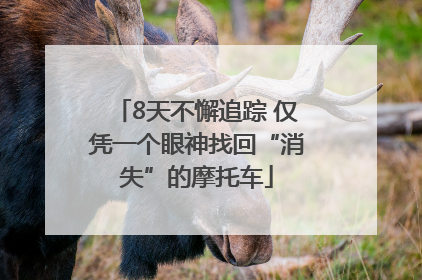 8天不懈追踪 仅凭一个眼神找回“消失”的摩托车