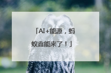 AI+能源，蚂蚁鑫能来了！