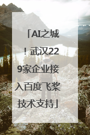 AI之城！武汉229家企业接入百度飞桨技术支持