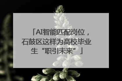 AI智能匹配岗位，石鼓区这样为高校毕业生“职引未来”