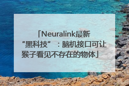 Neuralink最新“黑科技”：脑机接口可让猴子看见不存在的物体
